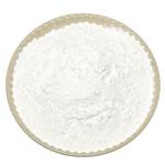 Probiotic Bacillus Coagulans