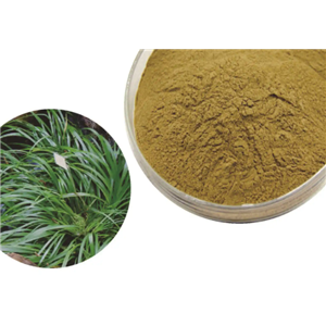 Acorus Calamus Extract