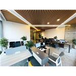 Levofloxacin carboxylic acid