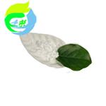 Minoxidil