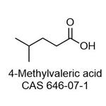 4-Methylvaleric acid