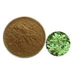 Bacopa Monnieri Extract