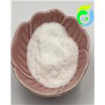 Dimethocaine Hydrochloride