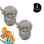 1-(tetrahydrofuran-3-yl)methanamine