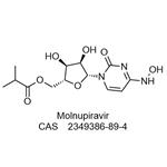Molnupiravir
