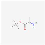 tert-Butyl L-alaninate 