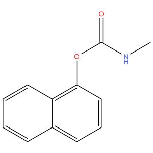 Carbaryl