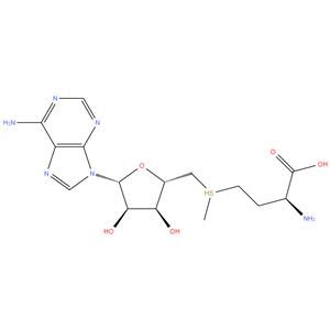 S-(5'-Adenosyl)L-methionine