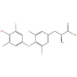 Levothyroxine T4 Lactic Acid