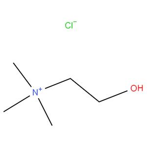 Choline Chloride 75 % Liquid