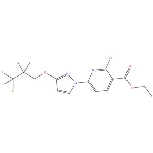 ethyl 2 - chloro - 6- ( 3- ( 3,3,3 - trifluoro - 2,2 - dimethylpropoxy ) -1H - pyrazol - 1 - yl ) nicotinate