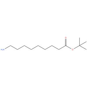 tert-Butyl 9-aminononanoate