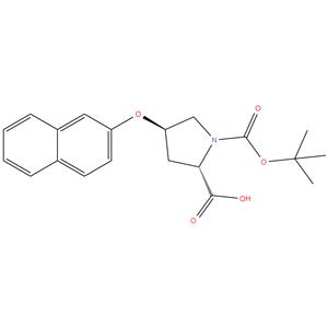 ( 2S , 4R ) -1- ( tert - butoxycarbonyl ) -4- ( naphthalen - 2 - yloxy ) pyrrolidine - 2 - carboxylic acid