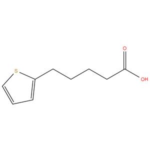 5-(2-Thienyl)pentanoic acid-95%