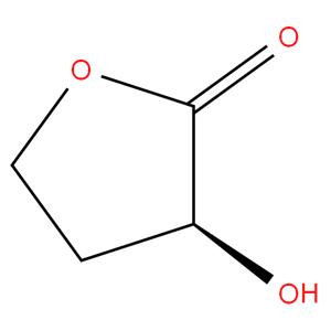 S-(-)-Dihydro-3-hydroxy-2(3 H )-furanone