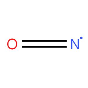 Nitric oxide