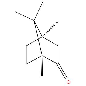 CAMPHOR POWDER