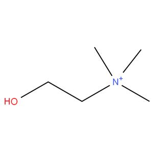 Choline