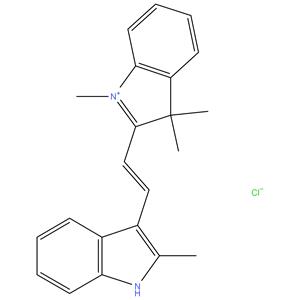 Basic orange 21