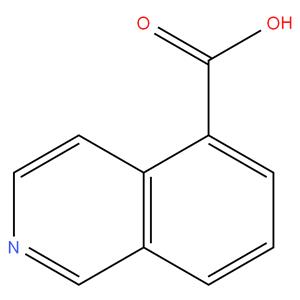 Isoquinoline-5-carboxylic acid