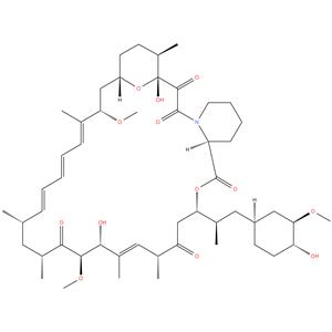 Rapamycin