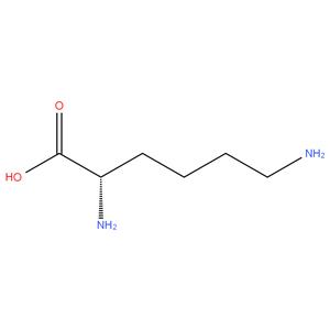 Polylysine