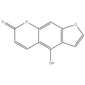 Bergaptol