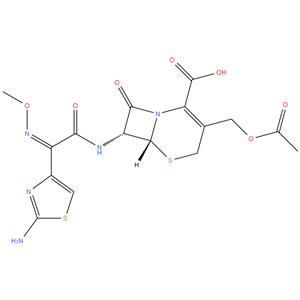 Cefotaxime