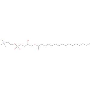 Lysolecithin