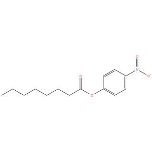 4-Nitrophenyl caprylate