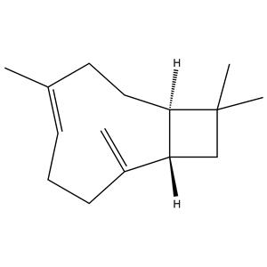 Beta-Caryophyllene