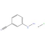 3-Cyanophenylhydrazine hydrochloride