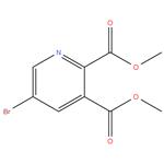 dimethyl 5-bromopyridine-2,3-dicarboxylate