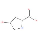 (2R,4R)-4-hydroxypyrrolidine-2- carboxylic acid; cis-4-hydroxy-D-proline