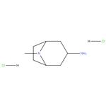 8-Methyl-8-azabicyclo[3.2.1]octan-3-amine