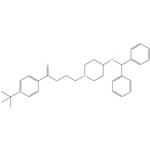 EBATINE IP/ BP