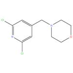 4-[(2,6 DICHLOROPYRIDIN-4-YL) METHYL] MORPHOLINE