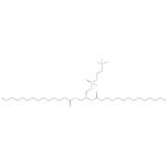 Dimyristoyl Lecithin