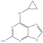 Cyclopropyldiaminopurine