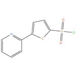 5-(pyridin-2-yl)thiophene-2-sulfonyl chloride