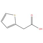 Thiophene-2-acetic acid