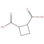 Clyclobutane-1,2-dicarboxylic acid