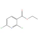 Ethyl 2,6-dichloronicotinate