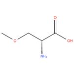 O-Methyl-D-serine,97%