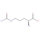 L-Citrulline, 98%