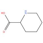 DL-Pipecolinic acid,97%