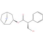 Hyoscyamine Related Compound A