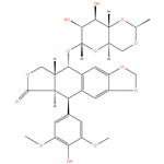 Etoposide EP Impurity-C