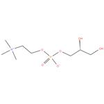 Choline alfoscerate