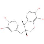 HEMATOXYLIN